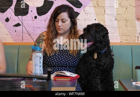 Ney York City, NY/USA - 29. Juni 2019: Junge Frau und ihr Hund Zeit miteinander zu verbringen bei einem Hund Cafe Stockfoto