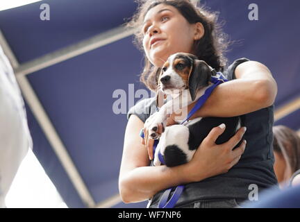 Ney York City, NY/USA - 29. Juni 2019: Freiwillige Holding auf liebevoll um einen Hund während einer Annahme Ereignis Stockfoto