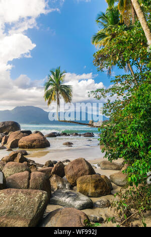 Tropische Landschaft an einem sonnigen Strand mit einem exquisiten Coconut Tree in der Horizontalen angebaut, und die grossen Felsen durch den Sand in der Nähe der einheimischen Vegetation mit Stockfoto