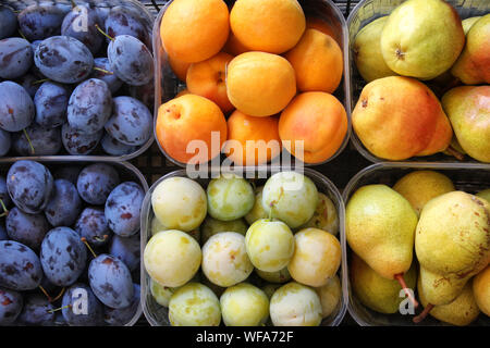 Verschiedene Früchte bereit zum Verkauf im Shop Stockfoto