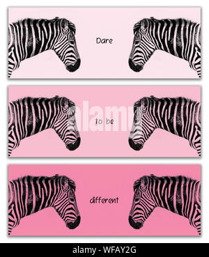 Zebra Triptychon. Drei horizontale Banner angezeigt die reflektierten Kopf einer ebenen Zebra im Profil. Farbpalette von drei Schattierungen von rosa mit Zitat Wagen Stockfoto