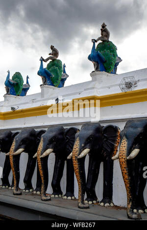 Getuftete Grau Langurs sitzen auf Peacock Statuen, die über die Mauer der Elefant Statuen an der Kataragama Tempel in Sri Lanka. Stockfoto