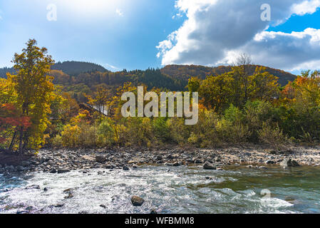 Oirase Stream im sonnigen Tag, schöne Herbst Laub Szene in herbstlichen Farben. Fließenden Fluss, Laub, bemoosten Felsen Towada Hachimantai Nationalpark Stockfoto