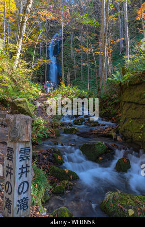 Szene Stream Szene Stream