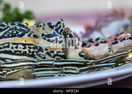 Mosambik riesigen Hummer in einer Platte mit Petersilie und Zitronen Stockfoto