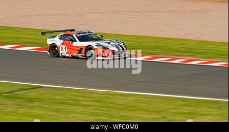 Auto 81, Tom Hibbert, Privateer, Ginetta GT4 Supercup, Oulton Park Freitag Praxis Stockfoto