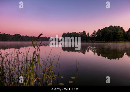 Panorama auf riesigen See oder Fluss im Morgen, mit schönen Super pink Sunrise Stockfoto