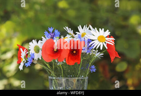 Bunte wildflower Blumenstrauß vor einem grünen Hintergrund, close-up mit Kopie Raum Stockfoto