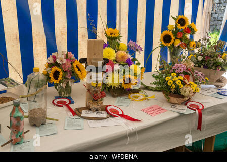 Hoffen auf den August Bank Holiday 2019 in Derbyshire, England. Exponate in der junglandwirte Festzelt. Stockfoto