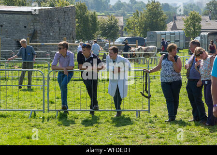 Hoffen auf den August Bank Holiday 2019 in Derbyshire, England. Junge Landwirte beobachten, eine Klasse in der Rinder Ring. Stockfoto