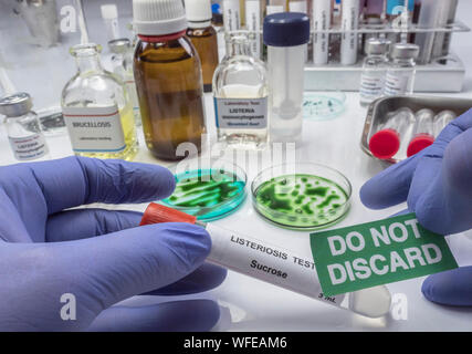 Gutachten gefülltes Fleisch durch Bakterium von Listeria in Labor verseucht, sprießen in Spanien verursacht Stockfoto