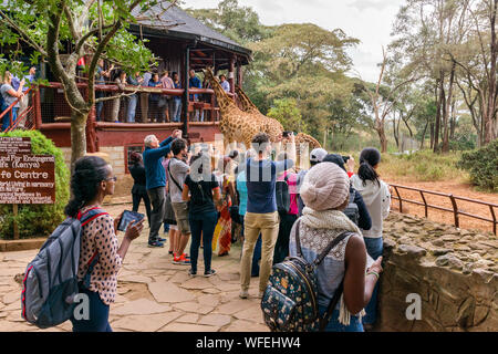 Touristen an der Giraffe Center mit Rothschild Giraffen auf der Aussichtsplattform, Nairobi, Kenia Stockfoto