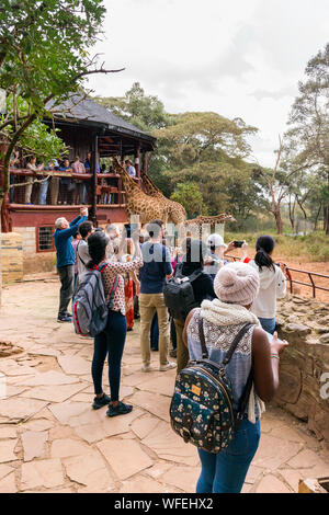 Touristen an der Giraffe Center mit Rothschild Giraffen auf der Aussichtsplattform, Nairobi, Kenia Stockfoto