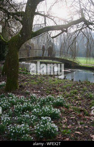 Fußgängerbrücke über den Fluss Test in Mottisfont Abbey Gardens, Romsey, Hampshire, UK. Schneeglöckchen im Vordergrund Stockfoto