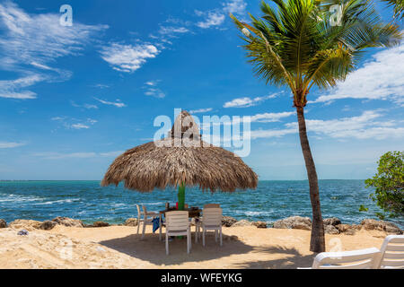 Liegestühle unter Sonnenschirmen und Palmen an einem tropischen Strand in Florida Keys. Stockfoto