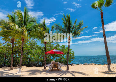 Liegestühle unter Sonnenschirmen und Palmen an einem tropischen Strand in Florida Keys. Stockfoto