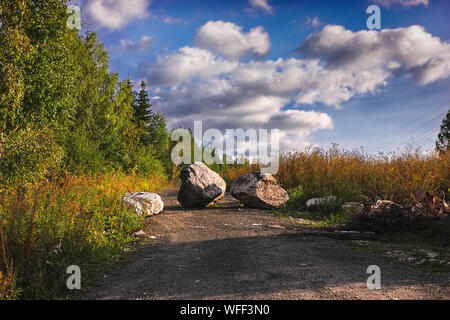 Stein Steine blockieren die Forststraße Sommer Landschaft. Auf einem waldweg ist ein großer Felsen, versperrt den Weg. Stockfoto