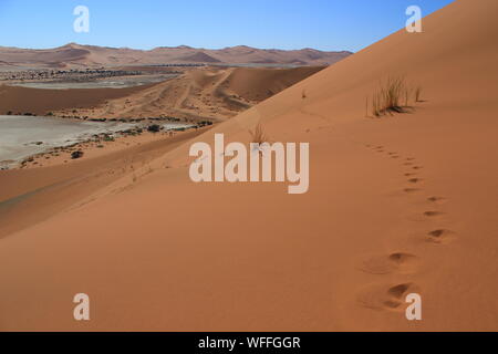 Jemand hat ging auf einem Sossusvlei Dünen in der Wüste Namib (Namibia). Stockfoto