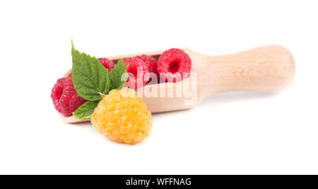 Rote und gelbe Himbeeren mit Blättern auf weißem Hintergrund. Stockfoto