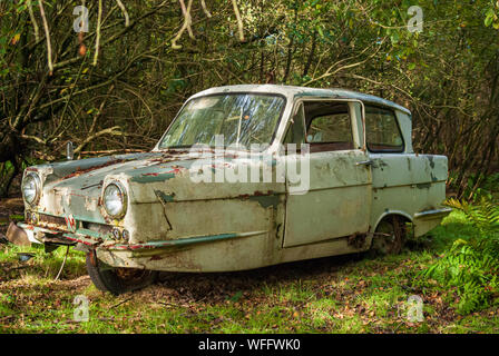 Alte reliant Regal in Wäldern zu verrotten Links abgebrochen Stockfoto