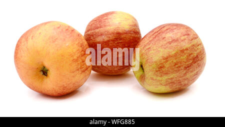 Apple pink lady Stockfoto