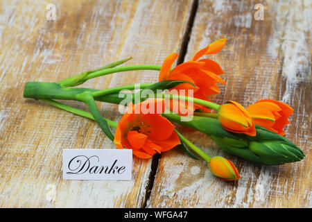 Danke (Vielen Dank, dass Sie sich in Deutscher Sprache) Karte mit orangen Blüten auf Holz- Oberfläche Stockfoto