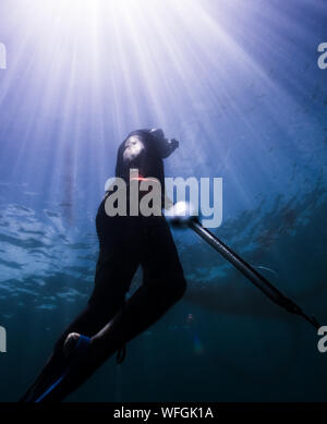 Unterwasserjagd in warmem Wasser, Martinique Stockfoto