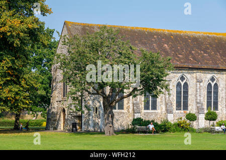 Die Guildhall, einem mittelalterlichen Franziskanerklosters, in Priory Park in Chichester, eine Stadt in der Grafschaft Stadt West Sussex, Südküste England, Großbritannien und Stockfoto