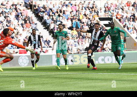 NEWCASTLE UPON TYNE, England. AUG 31 ST Newcastle United Fabian Schar zählenden erste Ziel seiner Seite während der Premier League Match zwischen Newcastle United und Watford in der St. James's Park, Newcastle am Samstag, den 31. August 2019. (Credit: Steven Hadlow | MI Nachrichten) nur die redaktionelle Nutzung, eine Lizenz für die gewerbliche Nutzung erforderlich. Keine Verwendung in Wetten, Spiele oder einer einzelnen Verein/oder Magazin redaktionelle Zwecke Credit: MI Nachrichten & Sport/Alamy leben Nachrichten Stockfoto