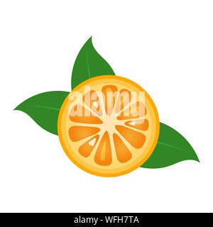 Orange Frucht slice closeup Symbol, rundes Stück orange. Logo Design, Flachbild Vector Illustration. Stock Vektor