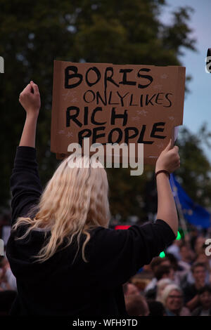 London, Großbritannien. August 2019. Einer der vielen Demonstranten, die ein Brett tragen, als Anti-Brexit-Demonstranten auf die Straßen von Zentral-London gehen. Quelle: Joe Kuis / Alamy News Stockfoto