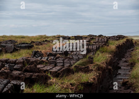 Torf Stecklinge auf Islay, Schottland Stockfoto