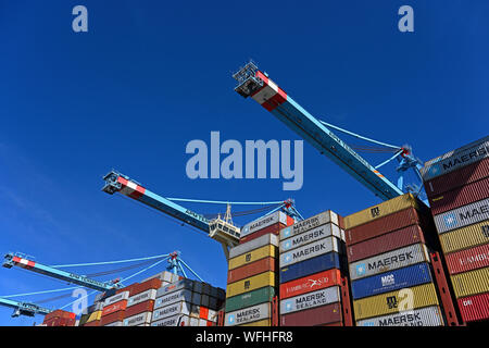 Der Hafen von Rotterdam, Niederlande - 2019.08.08: Container auf Deck des Schiffes margrethe Maersk Container verstaut (imo Nr. 9632131) liegt bei apm Termin Stockfoto