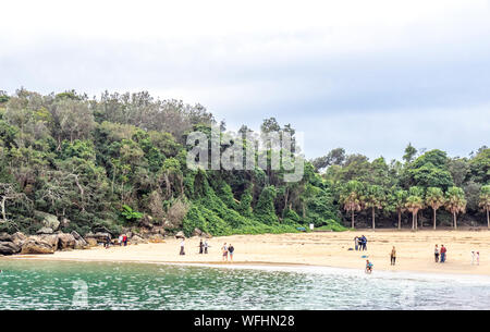 Die Leute stehen auf dem Sandstrand von Shelly Beach Manly Sydney, NSW, Australien. Stockfoto