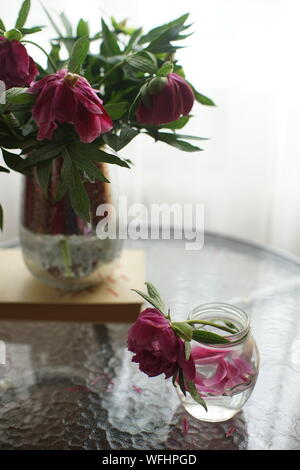 Zwei verwelkten Strauß Pfingstrosen Blumen in einer Vase und einem Glas auf einen Glastisch. Einsamkeit und Traurigkeit Stockfoto