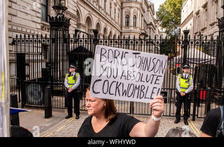 Die Demonstranten auf der Oberseite der Putsch, Protest verteidigen die Demokratie "außerhalb der Downing Street, London, UK, 31. August 2019 Stockfoto
