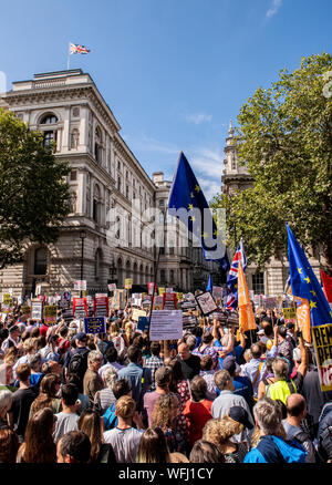 Tausende von Demonstranten auf der Oberseite der Putsch, Protest verteidigen die Demokratie "außerhalb der Downing Street, London, UK, 31. August 2019 Stockfoto