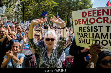 Tausende von Demonstranten auf der Oberseite der Putsch, Protest verteidigen die Demokratie "außerhalb der Downing Street, London, UK, 31. August 2019 Stockfoto