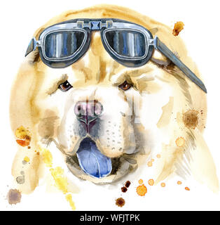 Aquarell Portrait von Chow-Chow Dog mit biker Sonnenbrille Stockfoto