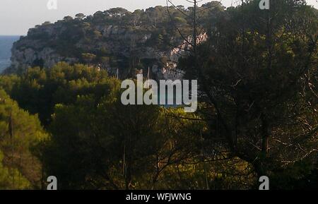 Kiefernwald durch Sehen Sie die Cala Macarella in der Zitadelle auf der Insel Menorca. Juli 5, 2012. Menorca, Balearen, Spanien, Europa. Reisen Stockfoto
