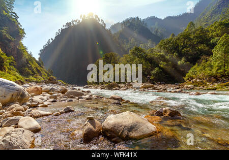 Gori Ganga mountain river bei Sonnenaufgang mit dichtem Wald am Munsiyari, Uttarakhand, Indien umgeben Stockfoto