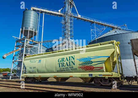 Washington, Palouse Region, "Korn" hopper Schienenbus. Stockfoto