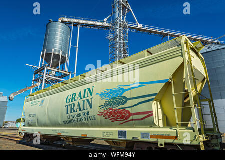 Washington, Palouse Region, "Korn" hopper Schienenbus. Stockfoto