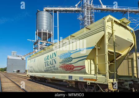 Washington, Palouse Region, "Korn" hopper Schienenbus. Stockfoto