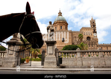 PALERMO - ein Pferd ist bereit für touristische Führungen in der Kathedrale an der Via Vittorio Emanuele. Stockfoto