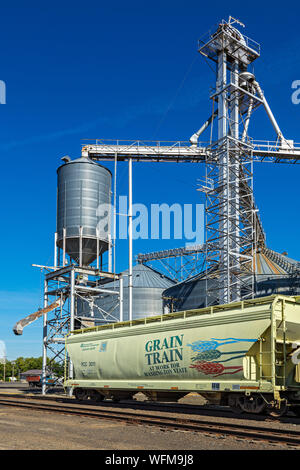 Washington, Palouse Region, "Korn" hopper Schienenbus. Stockfoto