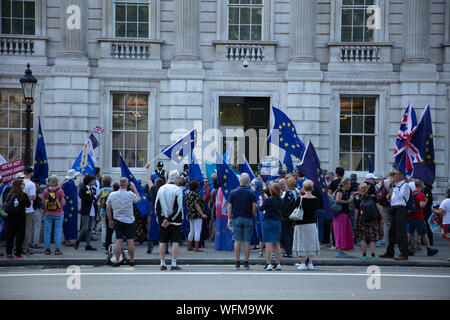 London, Großbritannien. 29. August 2019. Fast ständigen Protest auf durch Anti-Brexit Demonstranten vor der Cabinet Office in Whitehall, London. Credit: Joe Kuis/Alamy Nachrichten Stockfoto