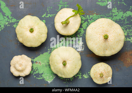 Frische weiße squash Gemüse auf alte Metall farbigen Hintergrund. Ansicht von oben Stockfoto