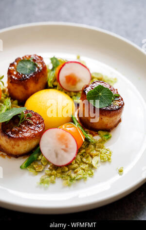 König Oyster mushroom Jakobsmuscheln, Confit Eigelb und Wasabi Erbsen Krümel Stockfoto