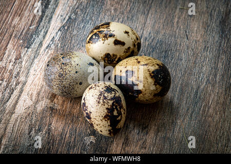 Fünf am Tag, gesunden Lebensstil Optionen. Frisch Wachtel Eier eingesammelt. Stockfoto